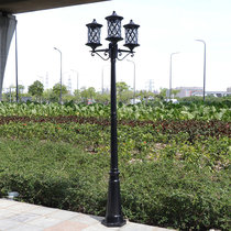 Garden lamp 3 meters villa garden lawn lamp community street lamp high pole lamp outdoor waterproof outdoor lamp landscape super bright