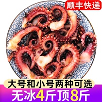Crispy mouth squid whiskers fresh frozen seafood aquatic products octopus beard without ice iron plate barbecue hot pot commercial