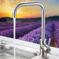 Hot and cold water dragon wash basin faucet kitchen sink faucet kitchen sink faucet 304 stainless steel faucet rotatable