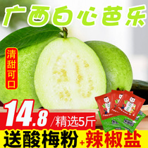 Guangxi specialty White Heart guava guava fruit season 5kg whole box of pomegranate Fresh 10
