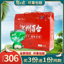 Gansu Lanzhou fresh sweet Lily Lily 5kg edible authentic specialty special white gift boxed non-dry goods