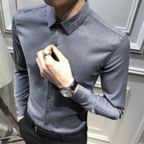 Tide brand 2021 autumn new men embroidery business casual non-iron long sleeve shirt slim top collar gray shirt