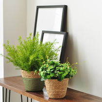Jiusi natural style hand-made grass basket and simulation green plant combination potted homestay soft decoration ornaments art126