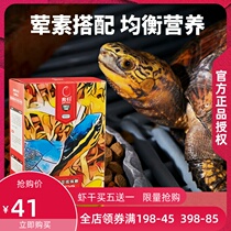 Breeding sub-adult water turtle Semi-water turtle yellow-throated water turtle grass Turtle yellow edge closed shell turtle yellow frontal universal turtle food