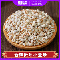 Fresh Guizhou barley Small barley barley rice coix seed whole grain farm new goods barley kernels 500g