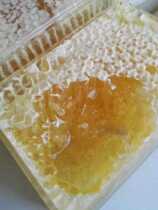 Northeast black front linden honey original ecological honeycomb honey 500g a box is a kilo