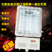 Explosion - proof proof lamp   explosion - proof floodlight light 250W400 Watt street lamp Shenyang Huaronglio River