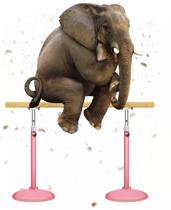 Ballet full set of learning table hot sale hot sale children lift adult combination table pole dance classroom pole 2020