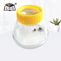 Kindergarten Teaching Aids Children Toys Scouts Science Experimental Tool Big insect Observation Box Large with magnifying glass