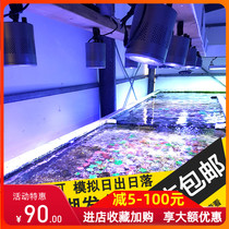 AS seawater fish tank Aquatic plants LED lights Algae tank lights Lighting lights Magic lights Full spectrum coral LED lights Waterproof seawater lights