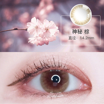 Brown European and American mixed-blood beauty pupil Net red small large diameter female Annual throw contact lenses can be half a year to throw Meile FEEM