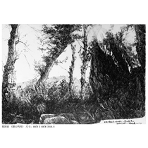 Cai Guoliang Reef Chirp paper This new steel stroke takes a group photo