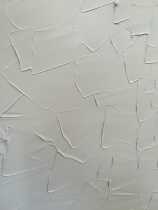 Silicon Algae Clay Lafur Elastic Art Lacquer White Imitation Ancient Retro Made Old Wall Paint Adjustable Color Bone Pulp Texture Lacquer