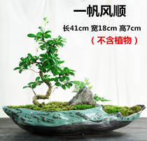 Bonsai flower pot landscape ceramics Chinese style purple sand pot household desktop creative green plant bamboo large green radish basin