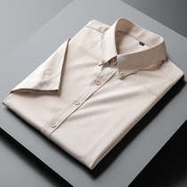 2021 Summer Embroidered Striped Short Sleeve Shirt Male sashimi casual shirt trendy mens business positive dress