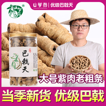 (Large Morinda officinalis) Oberhalberd Chinese herbal medicine dry goods wine Tea Nourishing Deqing 500g