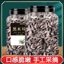 Black fungus flagship store dry goods Northeast specialties authentic wild special size bowl tulip rootless autumn non 500g