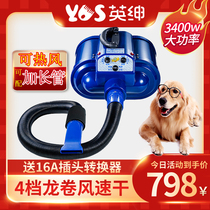Ingentry Double Motor Pet Blowing Machine Large Dog 3400w High Power Ozone Germicidal Electric Heating Silent Blow
