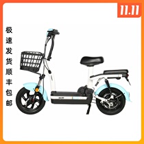 Tapang electric car small love line new national standard lead-acid battery small scooter battery car electric bicycle