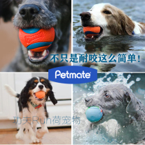 petmate Chuckit elastic ball dog toy with biting grinding teeth vocal luminated young dog small midsize dog