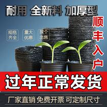 Seedlings plastic purple potato planting seedlings watermelon seedlings grafting artifact insulation and moisturizing paper tube Nursery Block