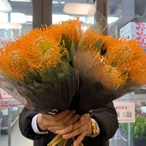  Yinjia imported South African needle pad premium needle pad large flowers long flowering period can be used as dried flowers floral art SF delivery