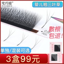 Baby warped Clover grafted eyelashes slightly bent 3d one second blossom yy upgrade planting false eyelashes natural