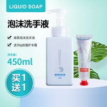 Eu Poetry Naiquan Green Tea Foam Handwashing Liquid Star Hotel Guesthouse Exclusive Home Children Press 450ml