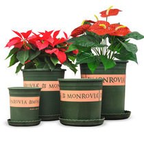 Global gallon basin Plastic resin round creative planting Balcony Garden potted flower pot