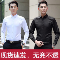 Mens long-sleeved white shirt formal business shirt casual black Korean version of the trend professional tooling inch clothes