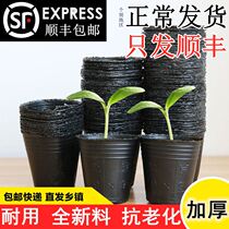 Seedlings plastic purple potato planting seedlings watermelon seedlings grafting artifact insulation and moisturizing paper tube Nursery Block