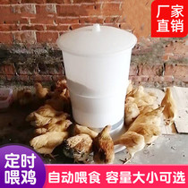 Pigeon timing feeder solar feeding electric chicken automatic feeding chicken feeder duck automatic feeder