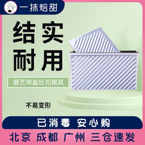 Exhibition art gold nonstick with cover toast mold corrugated toast box bread oven home