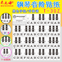 Piano Sticker Black Key White Key Sound Class Sticker Universal T-30Z letter black English word group 886149 key