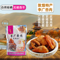 Dunhuang Li Guang apricot meat seedless dried apricot natural drying independent small packet snack preserved fruit Gansu Dunwei specialty