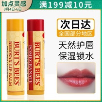 American Burts Bee lip Balm Baby virgin moisturizing moisturizing burts pregnant hydration burts bees