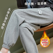 Pregnant women pants wear autumn and winter plus velvet thick toe wide leg pants womens fashion casual smoke pipe daddy pants spring and autumn