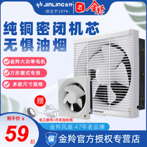 Jinling exhaust fan 10 inch kitchen fume exhaust fan window ventilation fan bathroom exhaust fan 30x300 household