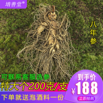 Fresh Ginseng Fresh Long White Hills Large vacuum Packaging Non-wild Mountain ginseng Refreshing Ginseng soup Brew Wine 200g