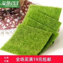Micro-landscape creative simulation moss False moss Ecological bottle decoration Lawn moss False white hair moss