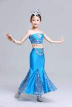 High-end June 1 childrens performance clothing girls young children childrens dance skirt Dai dance Peacock dance national performance clothing