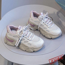 Hong Kong daddy shoes in the tide 2022 new comfortable autumn soft soles and leisure sports jogging shoes