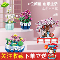 Yadan Spelling Compatible Building Bloom World Famous Cherry Blossom Plant Basin Plant Planting Small Particle National Tide Pendulum