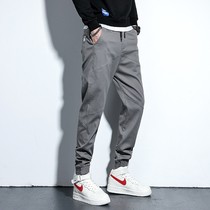 Men casual pants spring autumn Han version pants small footed Harun pants loose straight cylinder foot big code artificial fit pants male boomer