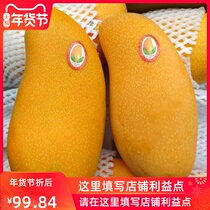 (Current pick and find) Hainan Narcissus mango fresh whole box 9 Current season season season Super seasonal tropical fruit