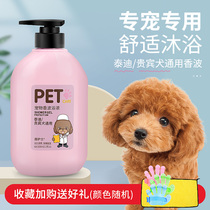 Teddy Pooch Dog Special Dog Body Wash of Bath Dew balsammy Mite Deodorant Special Pet Bath for Mite Special Pets