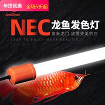 JC - NEC fluorescent lamp simulates sunlight golden dragon dragon simulation fish hair color special