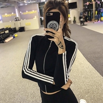 Sports jacket womens long-sleeved striped zipper sexy tight short section running jump exercise net red fitness yoga suit top