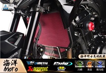 German DMV water tank KAWASAKI KAWASAKI z900 WATER TANK PROTECTIVE NET 20 SHAPE FRONT LICENSE PLATE