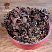 Old Tree Dad Planted in Original Ecology under Forest for 12 Months Fujian Anoectochilus roxburghii Whole Dry 50g Gift Box